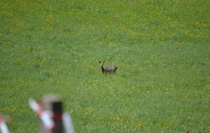 Inscription en ligne 3D Gorze 15 juin 2014