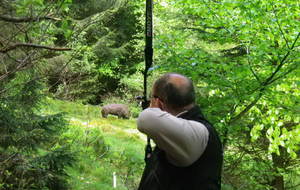 3 médailles dont 1 titre CD57.....3D