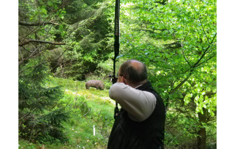 3 médailles dont 1 titre CD57.....3D