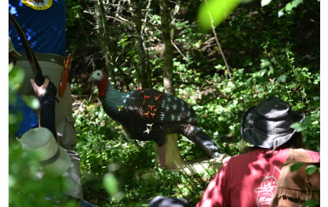 une très belle journée.....