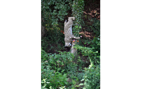 Concours 3D Gorze 12 juin 2022