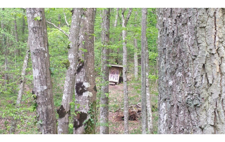 Concours Nature 11 Septembre 2022